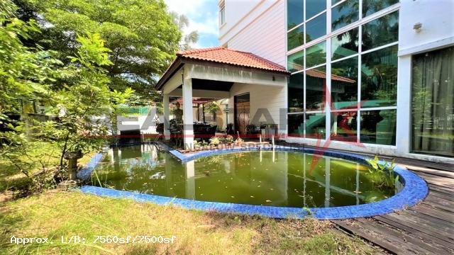 Siglap open concept bungalow with wide frontage, surrounded with greenery