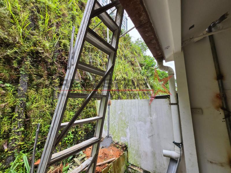 Spacious Freehold 3-Storey Terrace at Hillview Crescent – A Perfect Family Home!